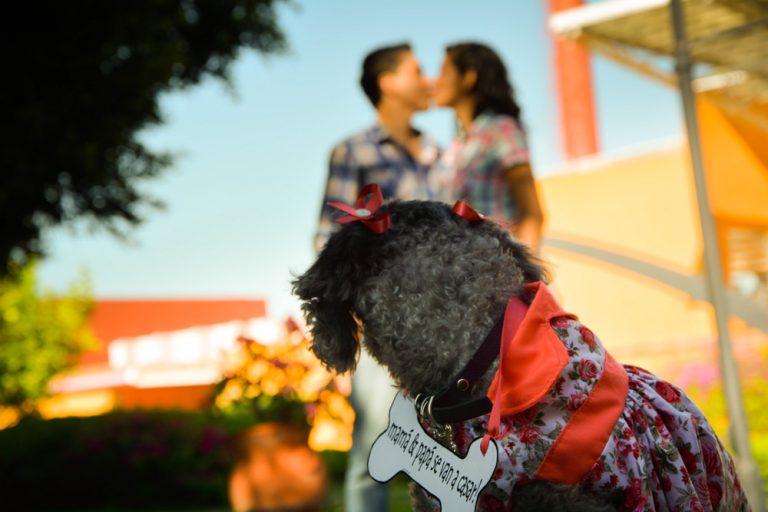 Fotógrafo Para Bodas en Puebla | Foto y Video para Boda en ...